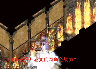 ��ο����������䴫���ɫս����