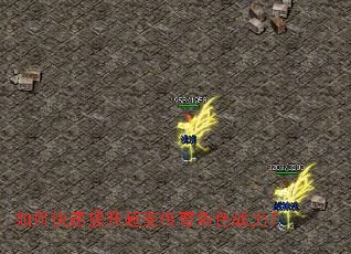 ��ο����������䴫���ɫս����