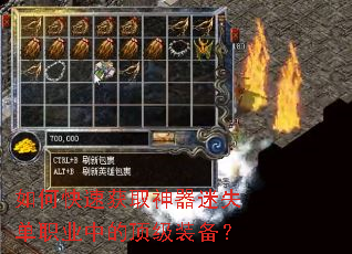 ��ο��ٻ�ȡ������ʧ��ְҵ�еĶ���װ����