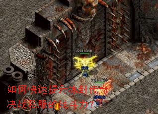 ��ο����������⴫���ս˽����ս������