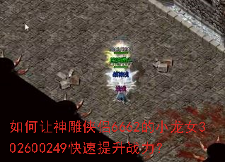 ������������6662��С��Ů302600249��������ս����