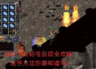 ���鴫��ƺŻ�ȡȫ���ԣ���Щ�����㶼֪����