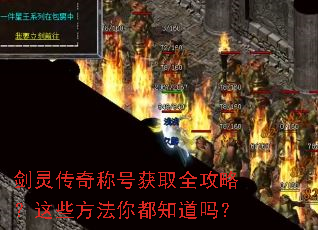 ���鴫��ƺŻ�ȡȫ���ԣ���Щ�����㶼֪����