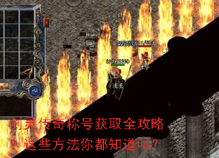 ���鴫��ƺŻ�ȡȫ���ԣ���Щ�����㶼֪����