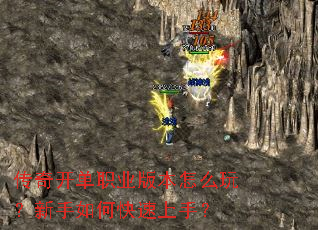 ���濪��ְҵ�汾��ô�棿������ο������֣�