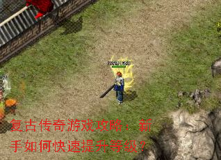 ���Ŵ�����Ϸ���ԣ�������ο��������ȼ���