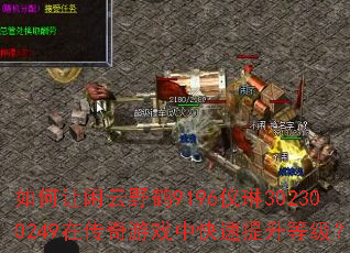 如何让闲云野鹤9196仪琳302300249在传奇游戏中快速提升等级? 如何让闲云野鹤9196仪琳302300249在传奇游戏中快速提升等级?