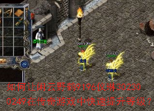 如何让闲云野鹤9196仪琳302300249在传奇游戏中快速提升等级? 如何让闲云野鹤9196仪琳302300249在传奇游戏中快速提升等级?