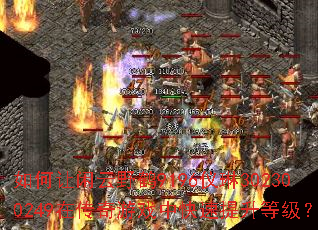 如何让闲云野鹤9196仪琳302300249在传奇游戏中快速提升等级? 如何让闲云野鹤9196仪琳302300249在传奇游戏中快速提升等级?