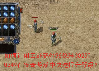 如何让闲云野鹤9196仪琳302300249在传奇游戏中快速提升等级? 如何让闲云野鹤9196仪琳302300249在传奇游戏中快速提升等级?