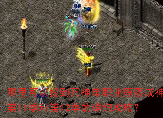 ��������ҵ�����ְҵ��������11���͵�12������ϸ���ԣ�