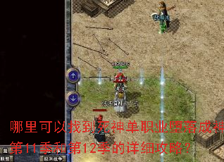 ��������ҵ�����ְҵ��������11���͵�12������ϸ���ԣ�