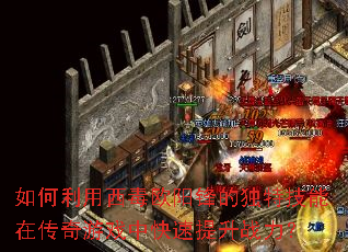 �����������ŷ����Ķ��ؼ����ڴ�����Ϸ�п�������ս����