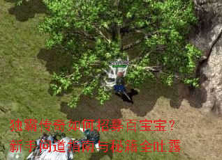 ���Դ��������ļ�ٱ����������ʵ�ָ�����ؼ�ȫ��¶