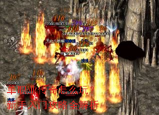 ��ְҵ������ô�棿�������Ź���ȫ����
