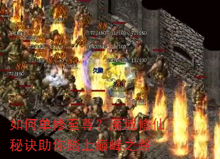 ��ε�������ħ�������ؾ�����̤���۷�֮·