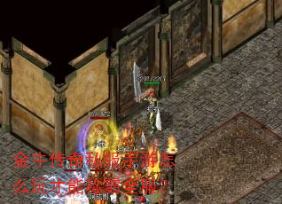 ��ţ����˽��������ô����ܳư�ȫ����