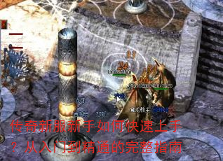 �����·�������ο������֣������ŵ���ͨ������ָ��