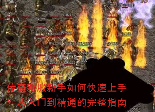 �����·�������ο������֣������ŵ���ͨ������ָ��