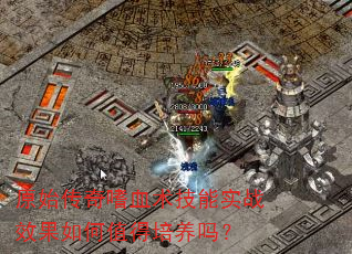 ԭʼ������Ѫ������ʵսЧ�����ֵ��������
