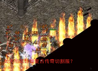 ��γ���ж�ظ��Ŵ����и����