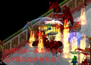 ���ѡ��һ�����������ר����Ѫ����˽����
