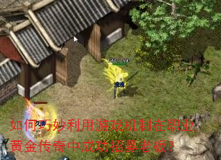 �������������Ϸ������ְҵ�ƽ����гɹ���ļ�ϰ壿