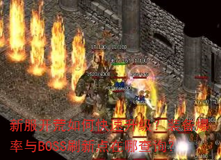 �·�������ο���������װ��������BOSSˢ�µ����Ĳ�ѯ��