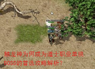 ������Ϊ�γ�Ϊ��ʿְҵ����BOSS����ѡ���Խ�����