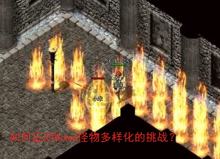 ���Ӧ��Woma�������������ս��
