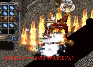 ���Ӧ��Woma�������������ս��
