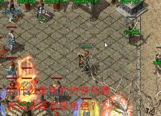 为什么最新的传奇私服无法选择高级角色? 为什么最新的传奇私服无法选择高级角色?