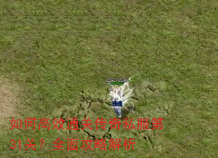 如何高效通关传奇私服第31关?全面攻略解析 如何高效通关传奇私服第31关?全面攻略解析