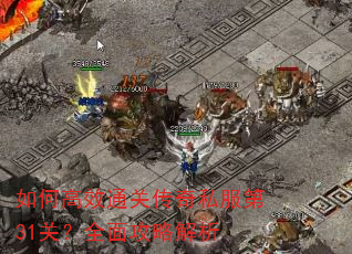 ��θ�Чͨ�ش���˽����31�أ�ȫ�湥�Խ���