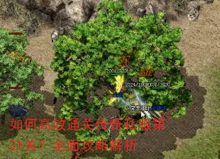 如何高效通关传奇私服第31关?全面攻略解析 如何高效通关传奇私服第31关?全面攻略解析