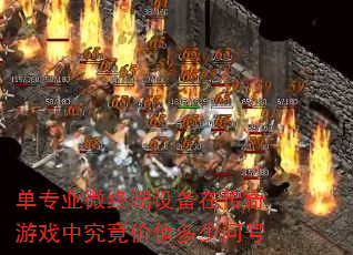 ��רҵ΢�ն��豸�ڴ�����Ϸ�о�����ֵ�����ʺ�