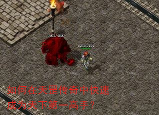 �����������п��ٳ�Ϊ���µ�һ���֣�