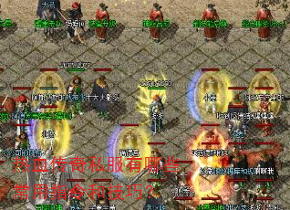 热血传奇私服有哪些常用指令和技巧? 热血传奇私服有哪些常用指令和技巧?