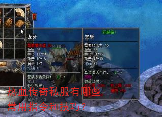 热血传奇私服有哪些常用指令和技巧? 热血传奇私服有哪些常用指令和技巧?