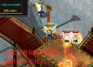 热血传奇私服有哪些常用指令和技巧? 热血传奇私服有哪些常用指令和技巧?
