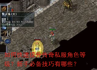 如何快速提升传奇私服角色等级?新手必备技巧有哪些? 如何快速提升传奇私服角色等级?新手必备技巧有哪些?