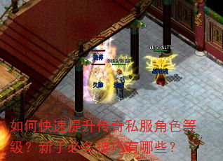 如何快速提升传奇私服角色等级?新手必备技巧有哪些? 如何快速提升传奇私服角色等级?新手必备技巧有哪些?