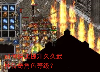 如何快速提升久久武林传奇角色等级? 如何快速提升久久武林传奇角色等级?