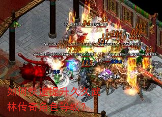 如何快速提升久久武林传奇角色等级? 如何快速提升久久武林传奇角色等级?