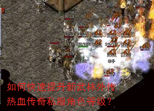 如何快速提升新武林外传热血传奇私服角色等级? 如何快速提升新武林外传热血传奇私服角色等级?