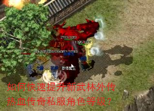 如何快速提升新武林外传热血传奇私服角色等级? 如何快速提升新武林外传热血传奇私服角色等级?