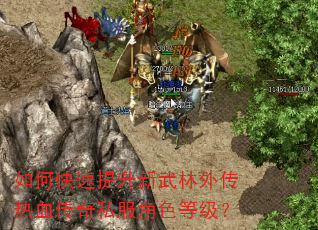如何快速提升新武林外传热血传奇私服角色等级? 如何快速提升新武林外传热血传奇私服角色等级?