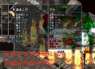 如何在天剑传奇私服中快速提升角色等级? 如何在天剑传奇私服中快速提升角色等级?