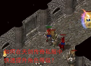如何在天剑传奇私服中快速提升角色等级? 如何在天剑传奇私服中快速提升角色等级?