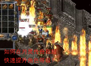 如何在月灵传奇私服快速提升角色等级? 如何在月灵传奇私服快速提升角色等级?